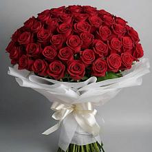 Букет 101 Красная роза Блэк Мэджик в Пикалёво
