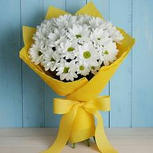 Букет цветов из:  Хризантемы в Пикалёво