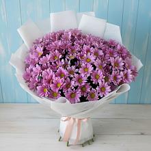 Букет цветов из:  Хризантемы #REPLACE_PRED# Пикалёво