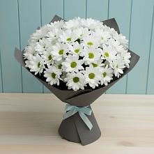 Букет цветов из:  Хризантемы #REPLACE_PRED# Пикалёво