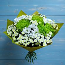Букет цветов из:  Хризантемы #REPLACE_PRED# Пикалёво