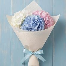 Букет цветов из:  Гортензия #REPLACE_PRED# Пикалёво