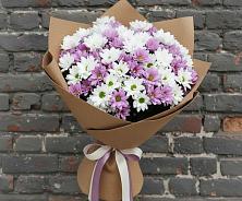 Букет цветов из:  Хризантемы #REPLACE_PRED# Пикалёво