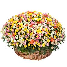 Премиум букет из: Розы #REPLACE_PRED# Пикалёво