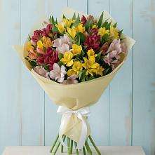 Букет цветов из:  Альстромерии в Пикалёво
