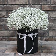 Цветочная композиция из Гипсофила в шляпной коробке #REPLACE_PRED# Пикалёво