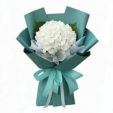 Букет цветов из:  Гортензия в Пикалёво